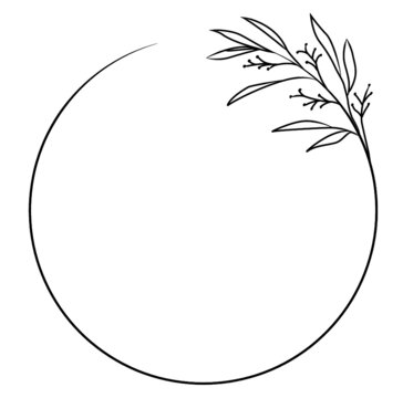 vector illustration of leafs framework