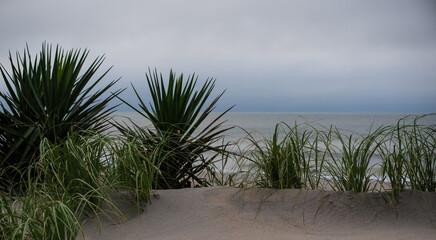 Obraz premium Topsail Island on a Cloudy Morning