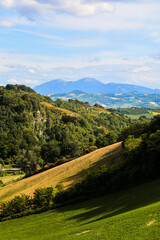 landscape in the mountains