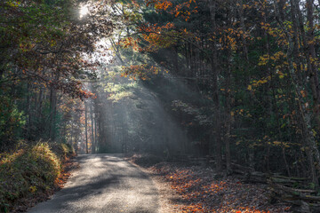 Country road in the Fall with sun rays shining
