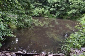 Naklejka na ściany i meble The trees surrounding reflected upon a pond