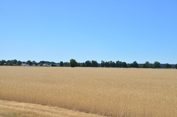 Obraz premium Sommerzeit