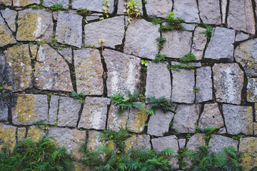 Road made of large gray stones and cobblestone and plants between them in the rain forest. Background of gray (grey) stones and green  plants