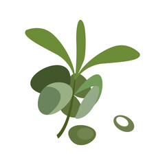 Green olive illustration. Green leaf, branch, nature. Food concept. illustration can be used for topics like agriculture, natural food, eco production