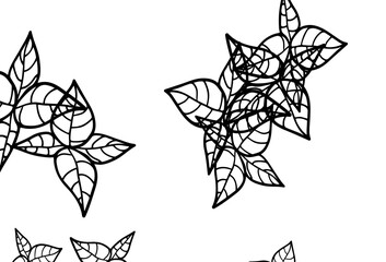 Black and White vector doodle pattern with leaves.