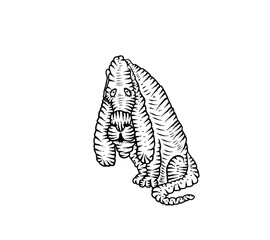 Basset Hound. Sad dog. Cartoon vector illustration