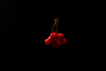 juicy fresh cherry branch on a black background