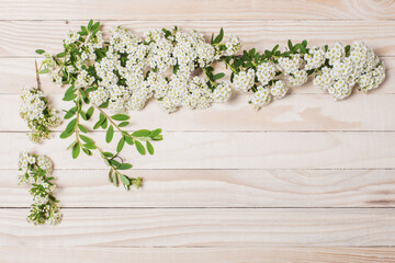 white summer flowers on wooden background