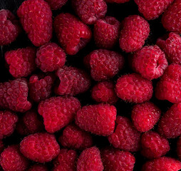 juicy raspberries on a black background, dry and with water drops