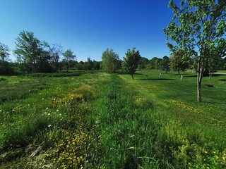 Summer scene in rural Canada.