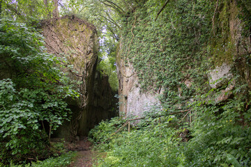 ruins and nature in the archaeological park of Sutri