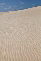 
car trail on sand dune at Canoa Quebrada beach, Ceara, Brazil