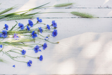 blue cornflowers on white old wooden background