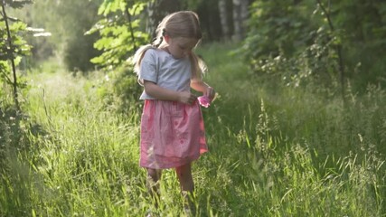 A little girl hides a rose flower in her dress pocket. A cute little girl collects flowers in the woods at sunset.