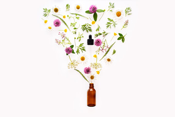 Brown glass bottle and wild flowers and herbs pour out of the dropper . Concept of natural cosmetics or alternative medicine