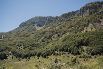 Naklejka premium mountains in the mountains