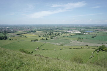 Fototapeta premium landscape with green fields
