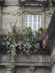 Fototapeta na wymiar charmy house facade in the city