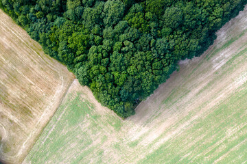 Geometric shapes and lines formed by an aerial shot of a wood and fields