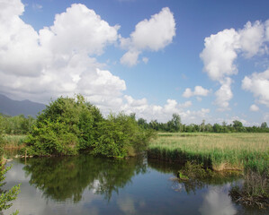 Fototapeta na wymiar clouds and trees reflected on the lake