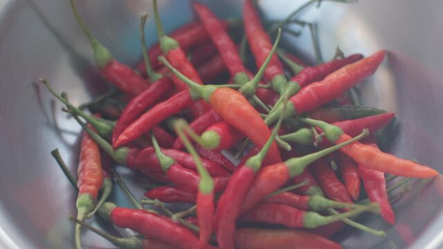 Placing fresh harvested Thai chilies in bowl, full of red and orange chili peppers. Close up.