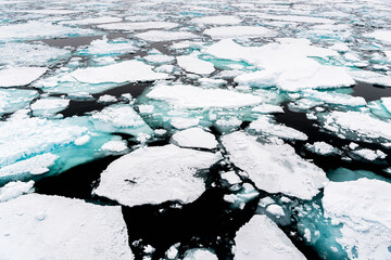 Ice landcape on the water in Arctic