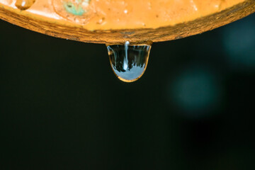 Macro shot of a water drop with reflection after rain hanging from above