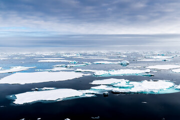 Fototapeta na wymiar Ice landcape on the water in Arctic