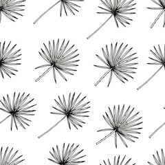 Hand drawn sketch style circle palm leaves seamless pattern. Vector background.