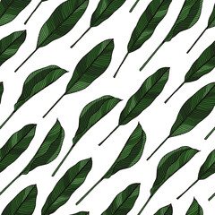 Hand drawn sketch style heliconia leaves seamless pattern. Color illustration with tropical leaves.