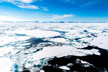Fototapeta premium Ice pieces on the water in Arctic