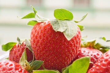 Strawberries on green background