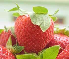 Strawberry with leaves with green background