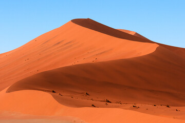 Fototapeta na wymiar Huge sand dunes of Namibia desert, wilderness African landscape