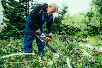 Obraz premium Man sawing trees and eliminates the effects of the hurricane