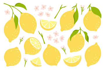 Set of whole, cut in half, sliced on pieces fresh lemons . Citrus fruit collection with lemon peel, flowers and leaves in hand drawn style. Vector illustration isolated on white background.
