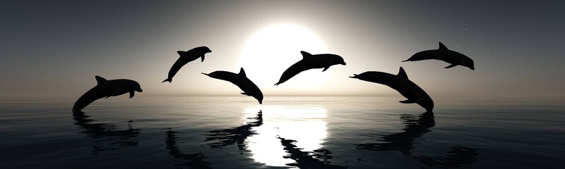 Dolphins play at sunset, 3D rendering © ustas