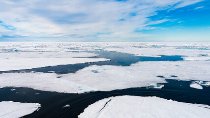 Ice pieces on the water in Arctic