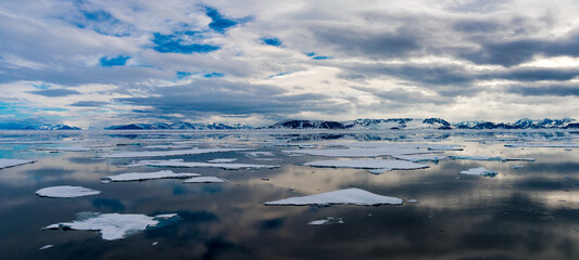 Ice pieces on the water in Arctic