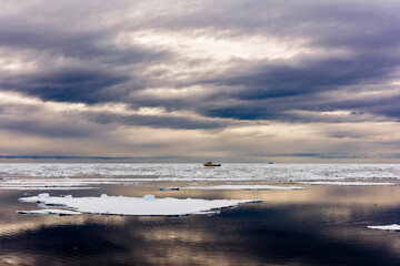 Fototapeta na wymiar Ice pieces on the water in Arctic