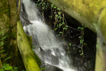 Cascada en arroyo del bosque