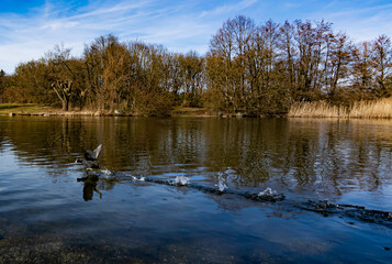 Animals from the OstPark - Munich, Germany.