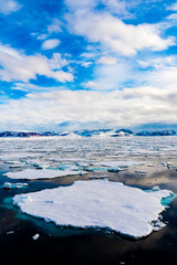 Ice pieces on the water in Arctic