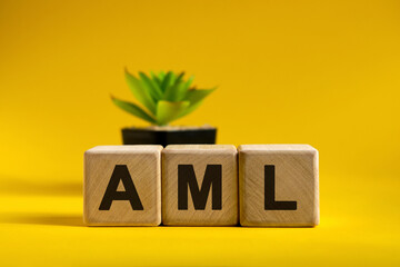 AML - text on wooden cubes on a background and a black pot with a flower
