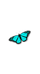 3D realistic Monarch Danaida butterfly social media cover. Highlights stories isolated white background template. Summer travel theme concept vector illustration
