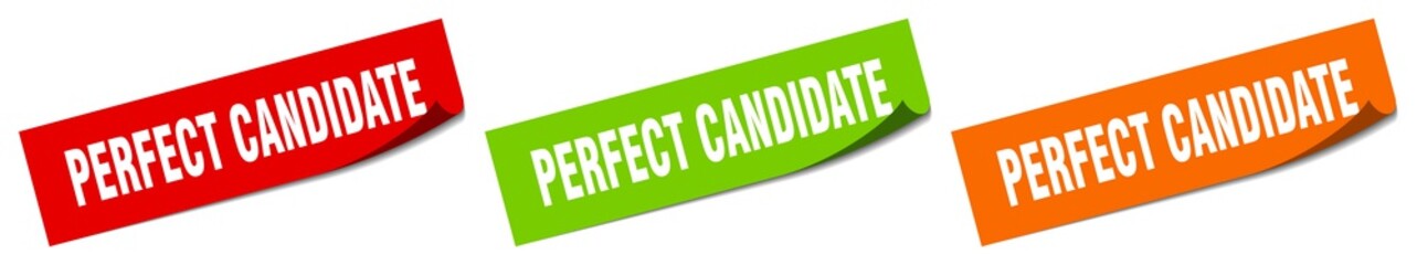 perfect candidate sticker. perfect candidate square isolated sign. perfect candidate label