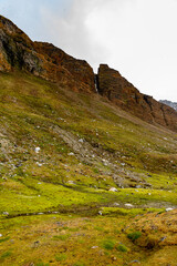 Green nature of the Svalbard archipelago