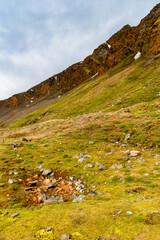 Green nature of the Svalbard archipelago