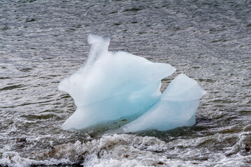 Small Ice pieces on the water in Arctic