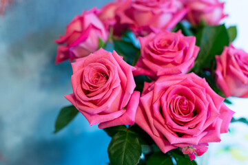 pink roses on blue background 2